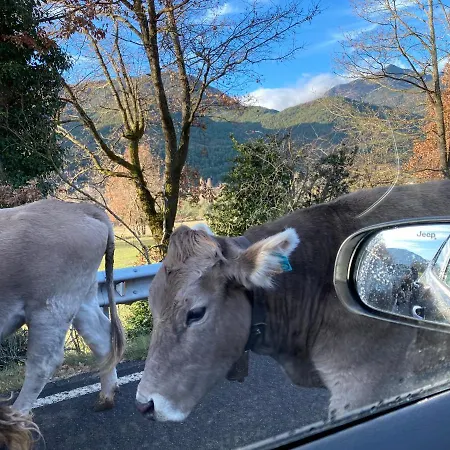 Prime Loft Pirineos 公寓 Sabiñánigo