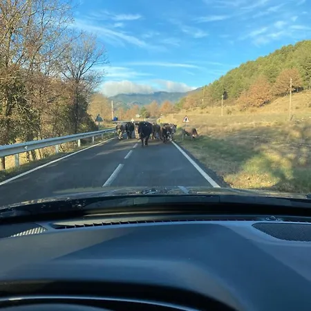 公寓 Prime Loft Pirineos *