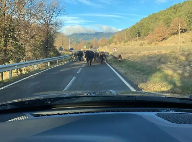 Apartment Prime Loft Pirineos *